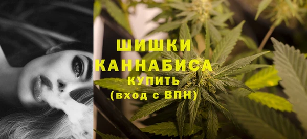 дмт Осинники