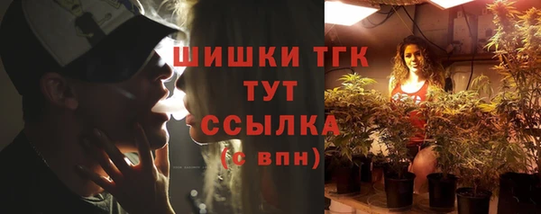 дмт Осинники