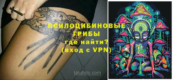 дмт Осинники