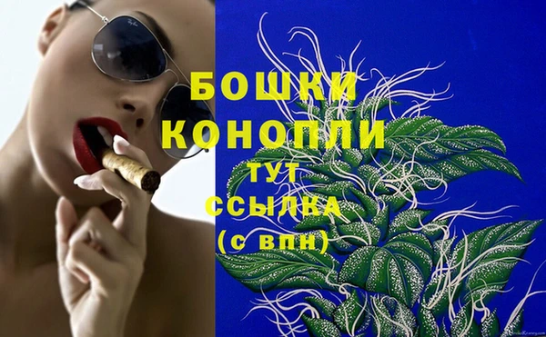 дмт Осинники