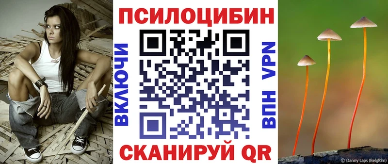 Галлюциногенные грибы Cubensis Купить закладки Коммунар